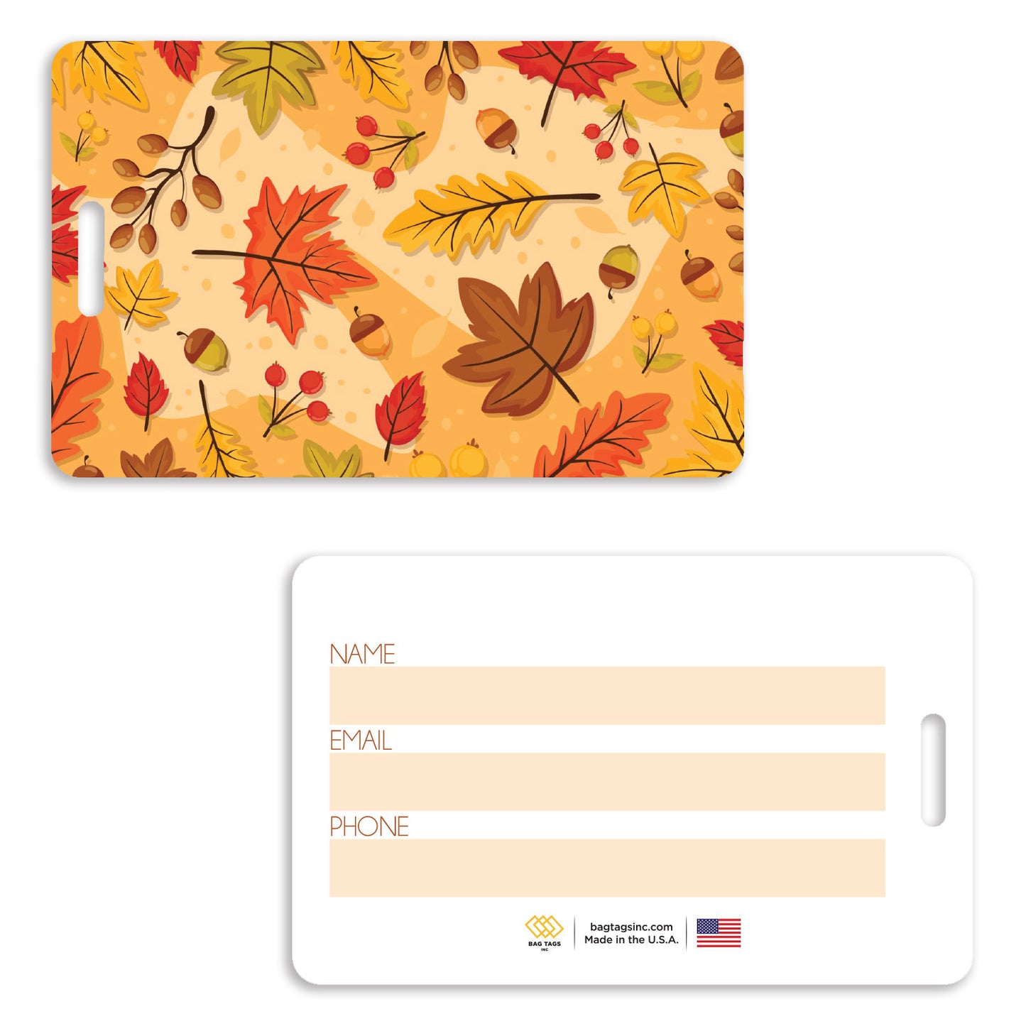 Fall Colors